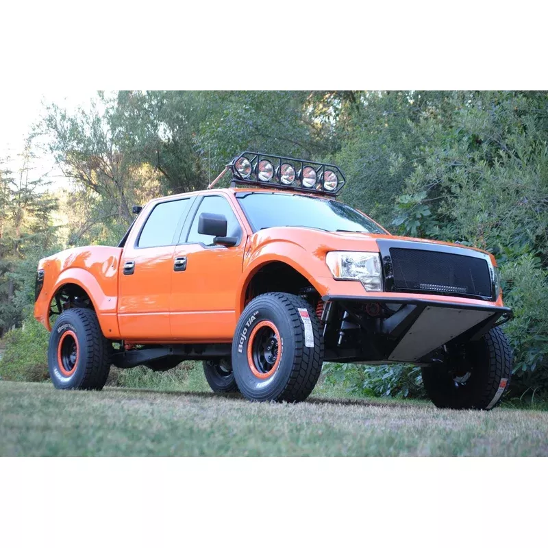’09-14 Ford F150 One Piece