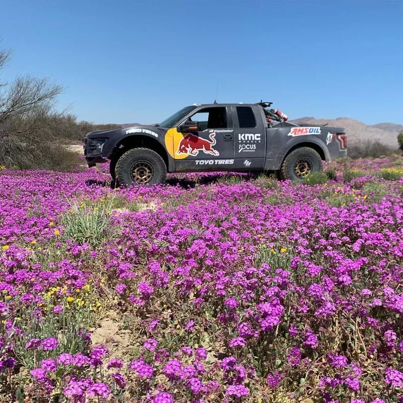 ’10-14 Ford Raptor to 2nd Gen Raptor Luxury PreRunner One Piece